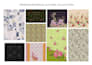 do professional textile design and seamless pattern design